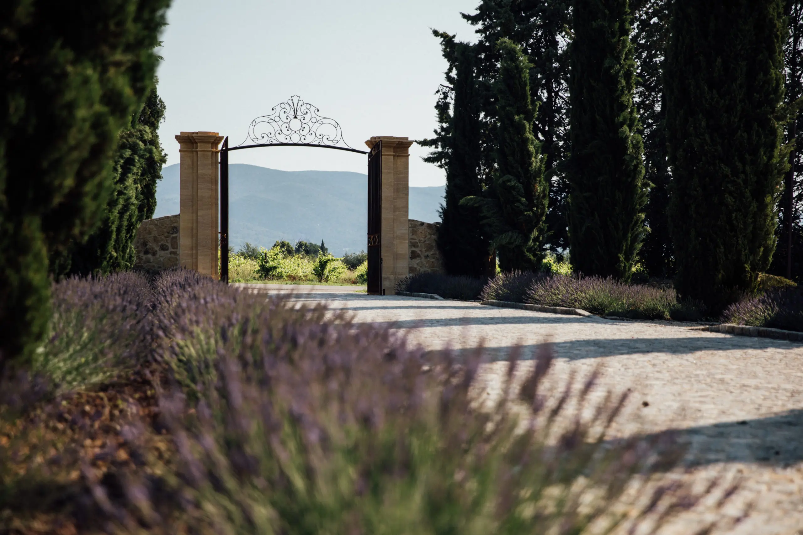 Château Saint-Pierre de Mejans — Soirée Sud Wine Club Jeudi 12 mars 2026